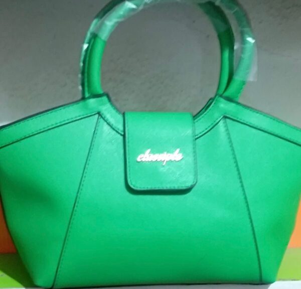Fashion designed bags for women