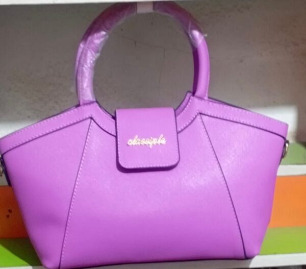 Fashion designed bags for women