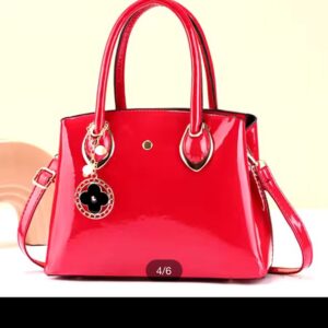 shinny classy bag