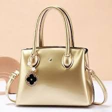 shinny classy bag